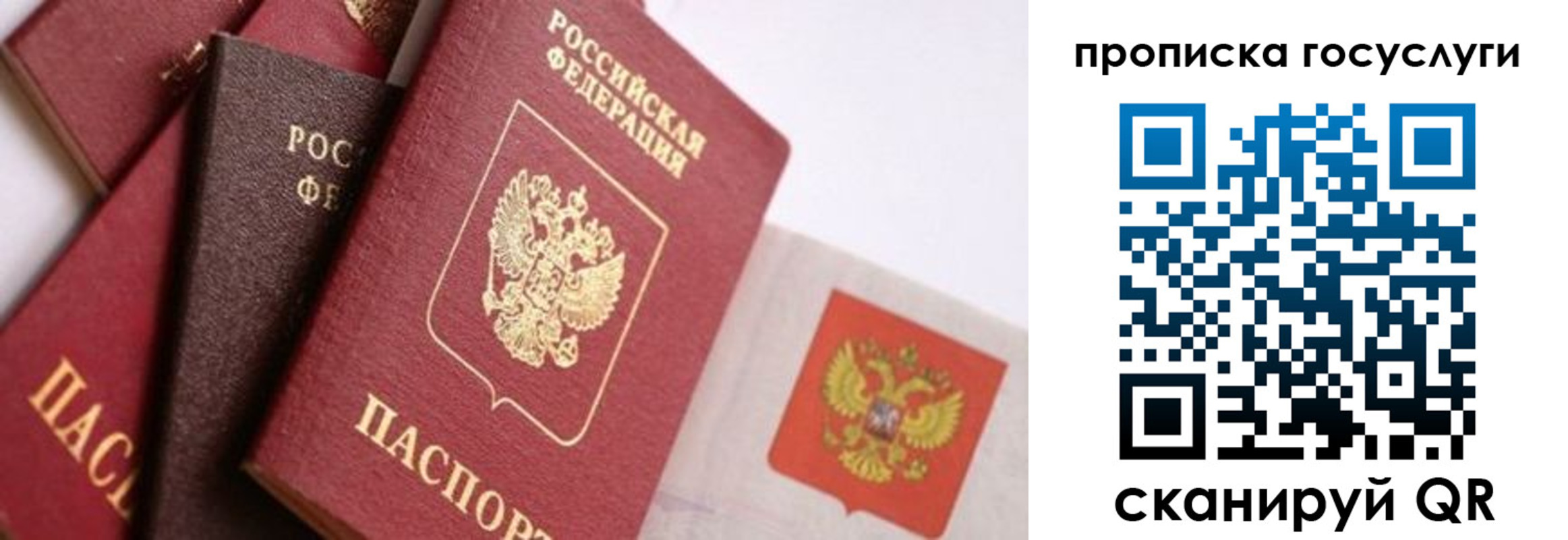 прописка законно в Эртили